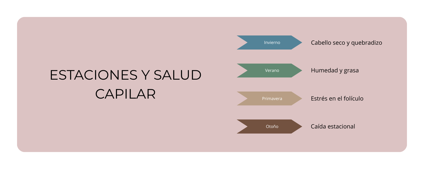 Estaciones y salud capilar